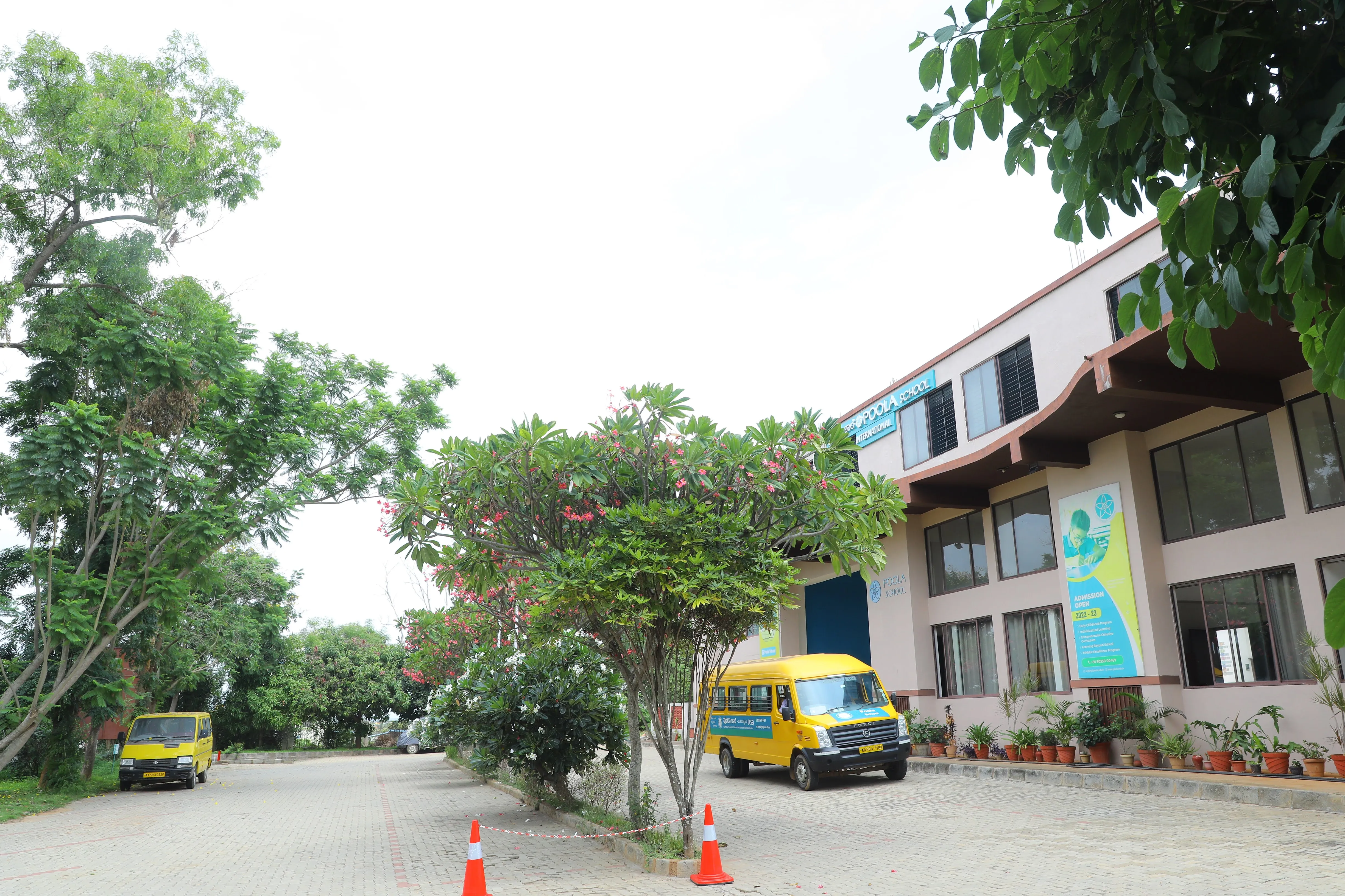 The tree-lined campus approach